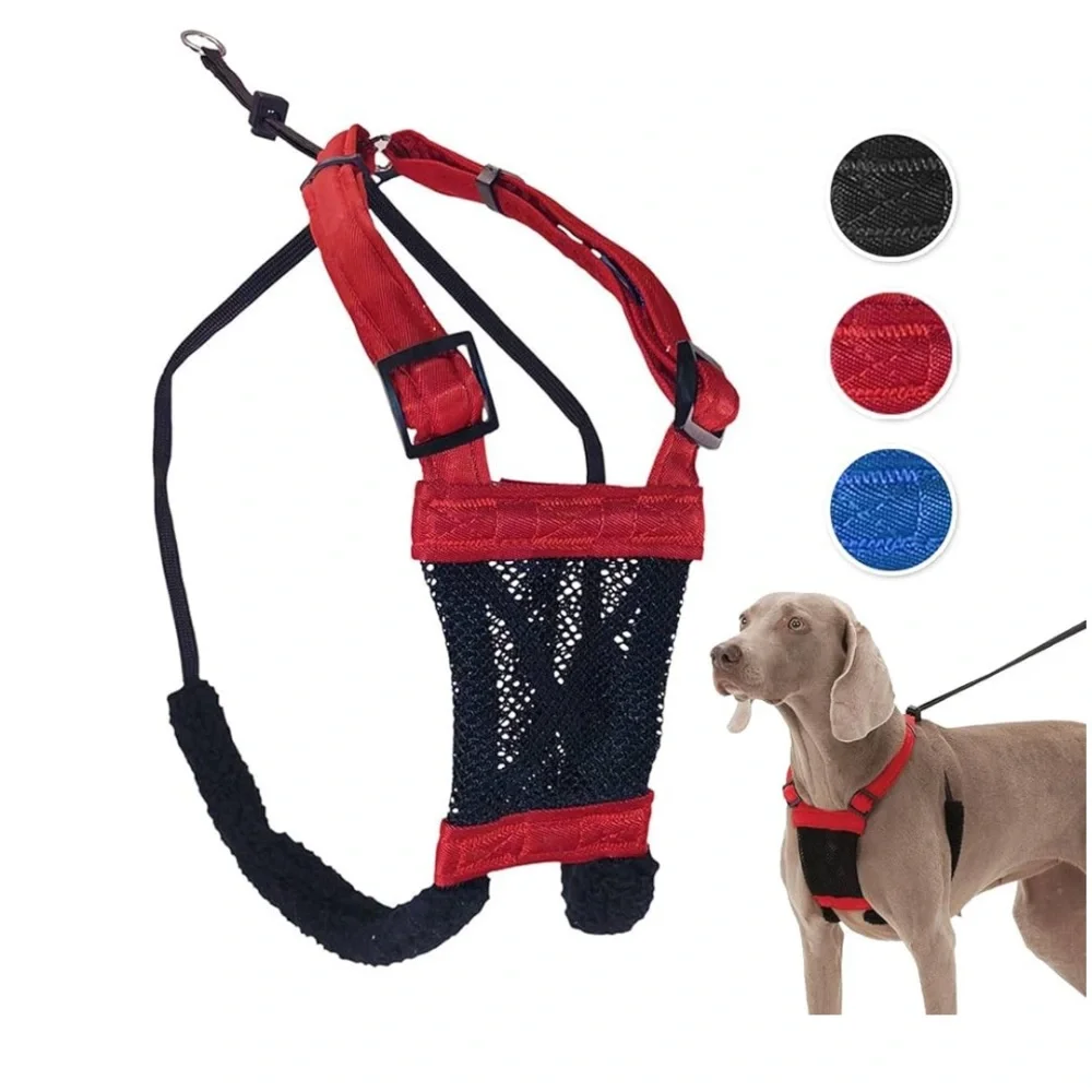 Sporn (Small) No Pull Dog Harness